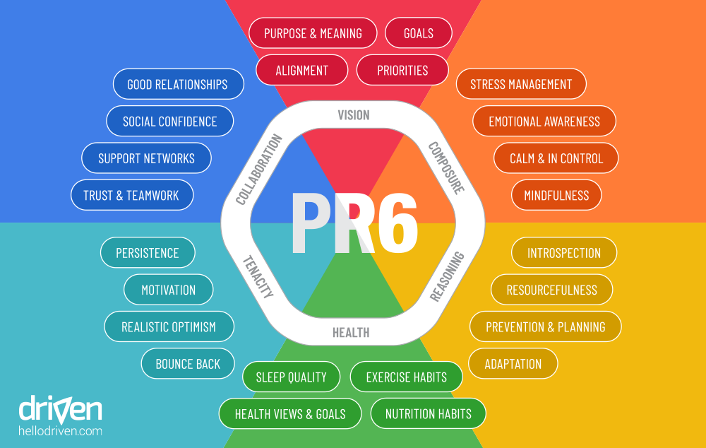 the-6-domains-of-resilience-driven